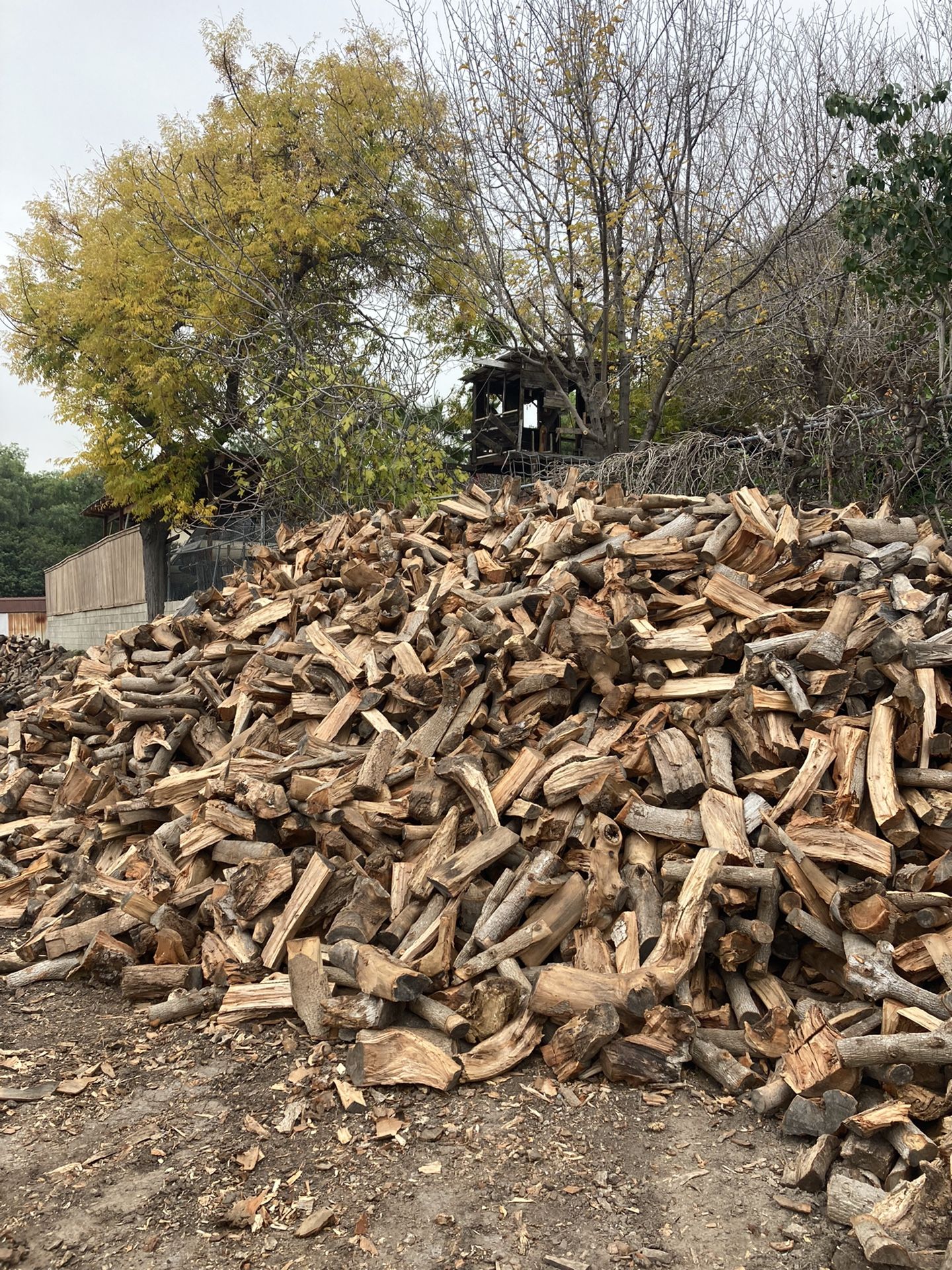 Firewood Ready To Burn