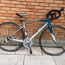 Vintage Bike  2010 Giant Avail Alliance Women Small  