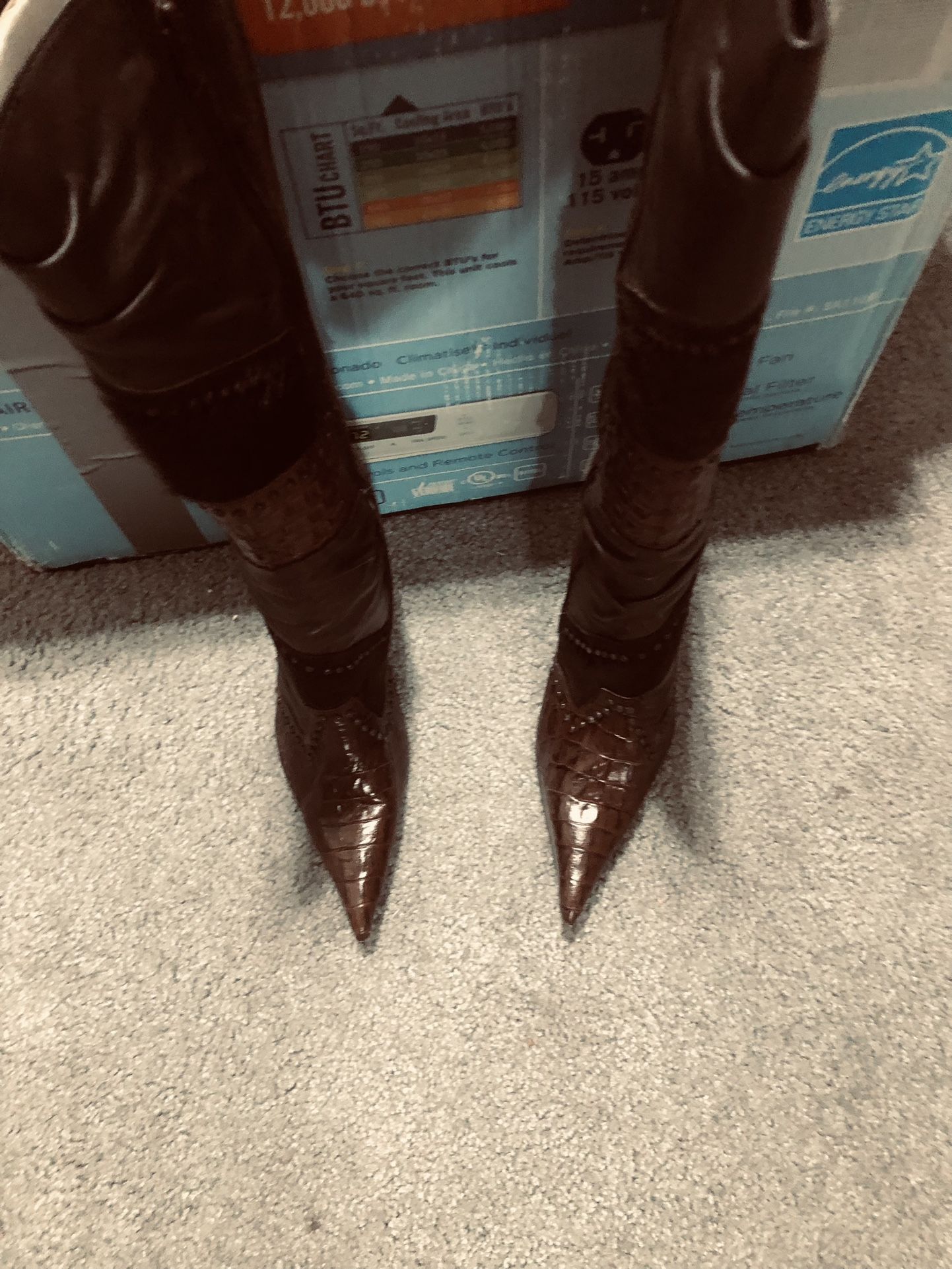 Aldo Leather Boot For Women