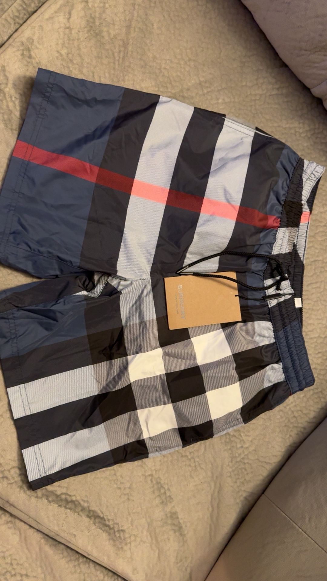 Men Small Burberry Swimming Trunks
