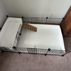 Guinea Pig Cage