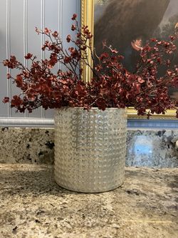 Plant Pot