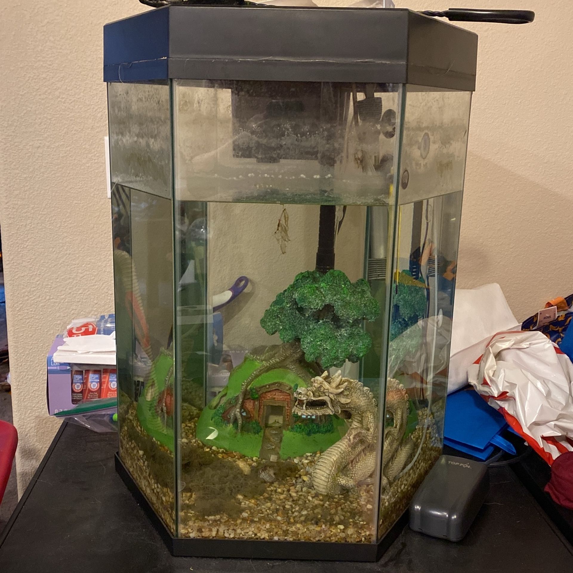 20 Gallon Fish Tank