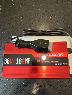 Ebusin 36v Battery Charger 