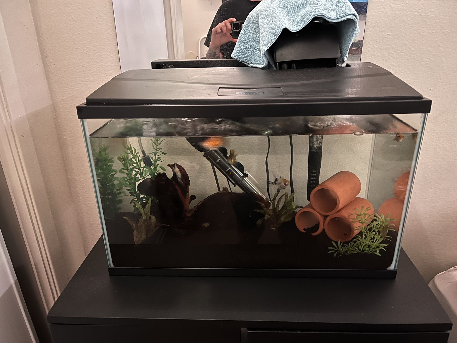 Fish Tank