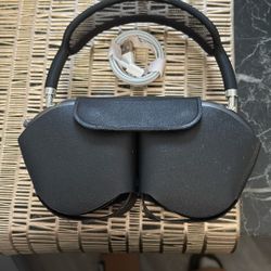 Airpod Pro Max (black)