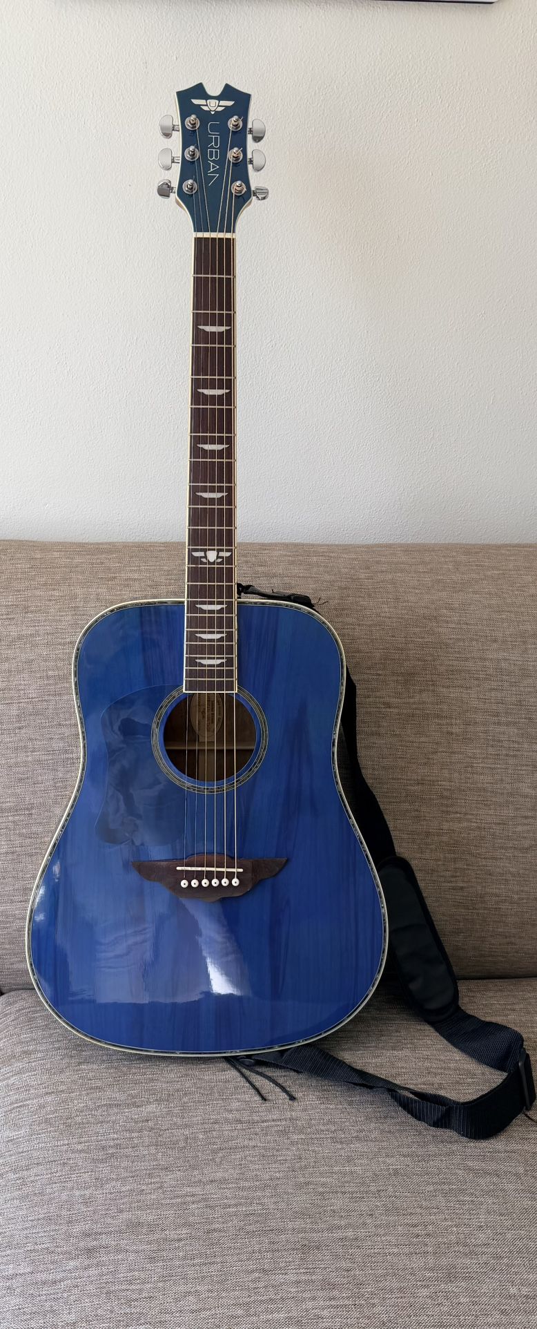 Guitarra con su estuche y libros y discos de aprendizaje