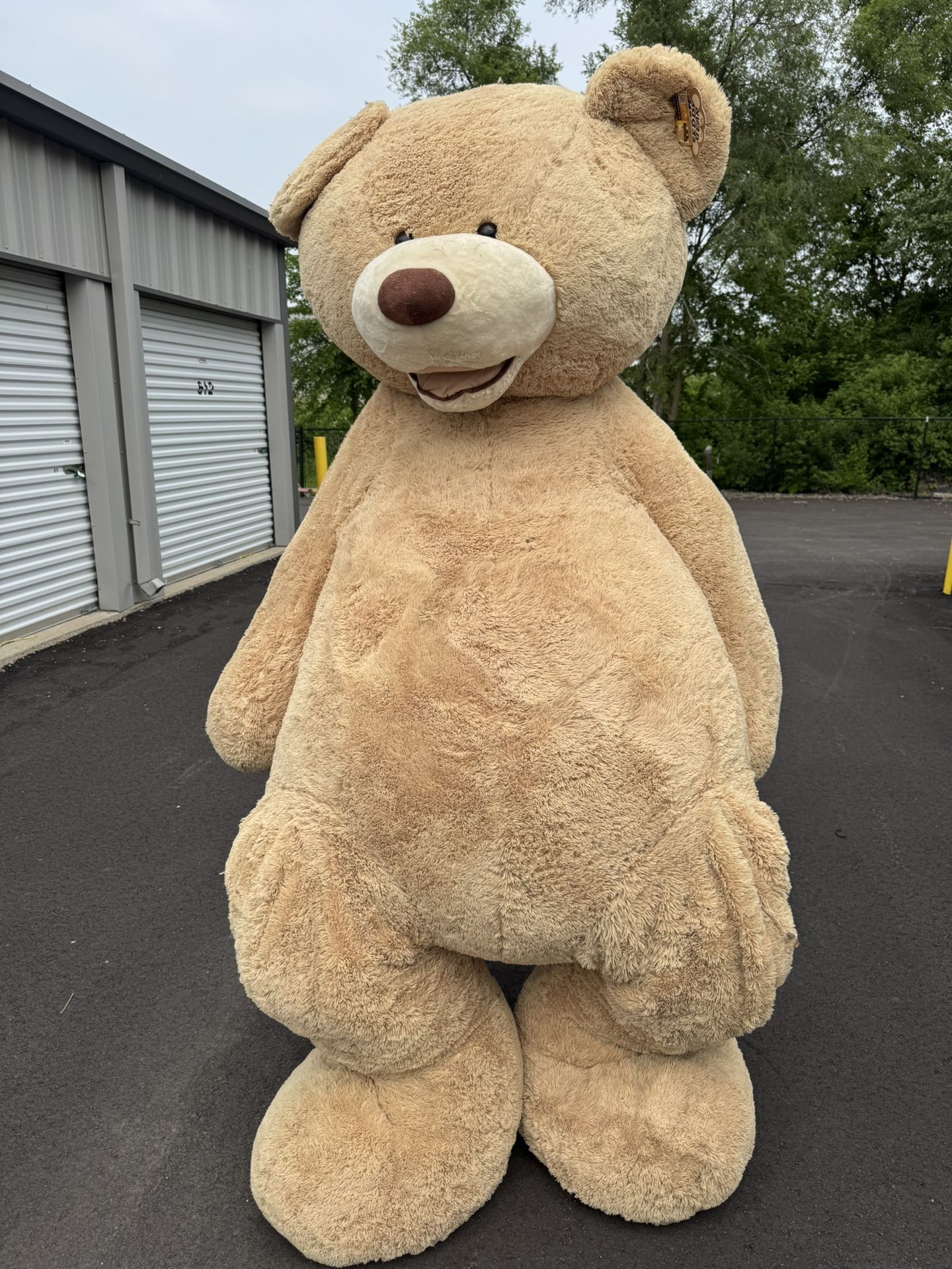 8 Foot Teddy Bear $220 Or Best Offer