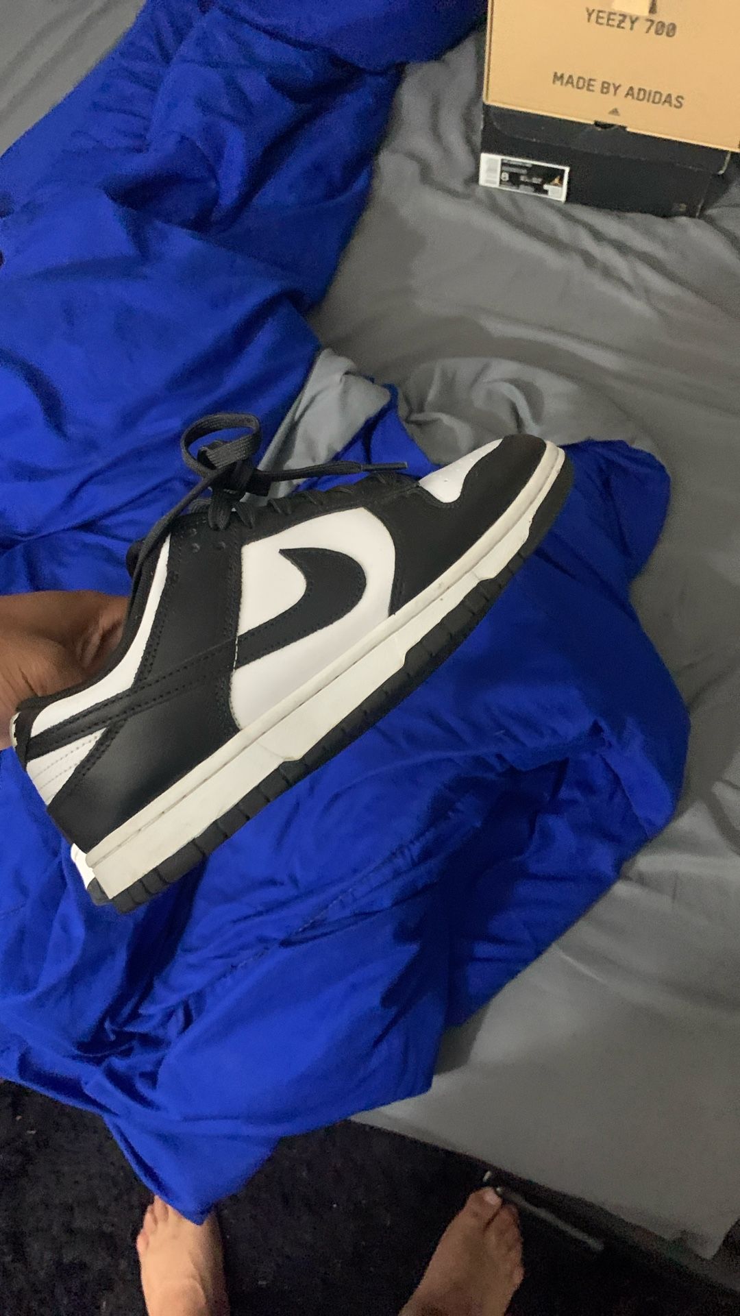 Panda Dunks