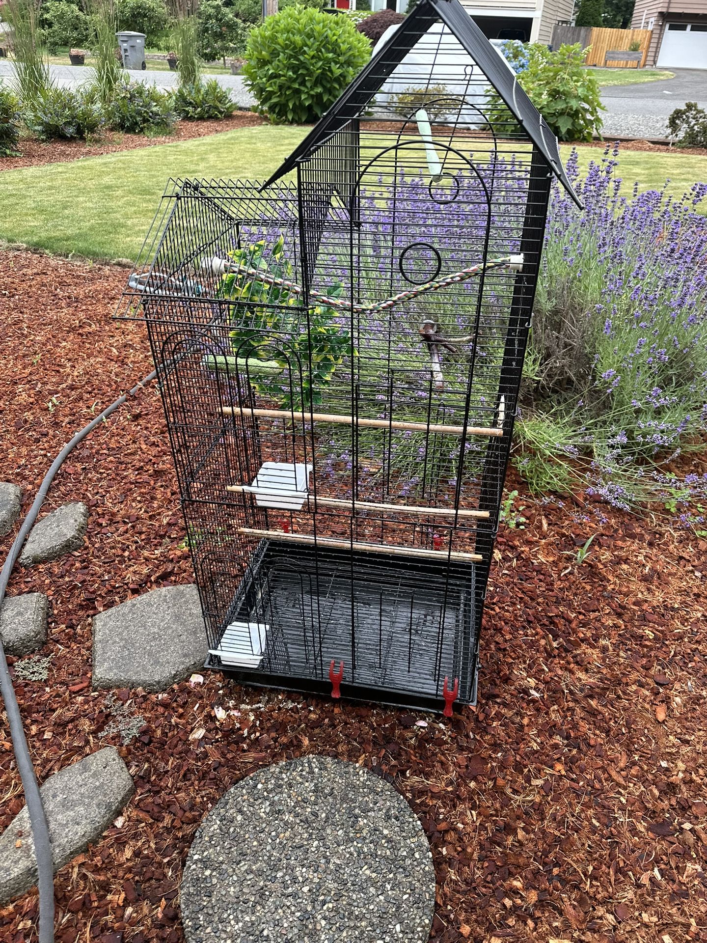 Bird Cage