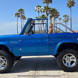 Dodger Blue