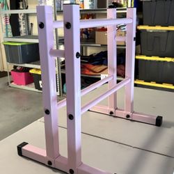 Pink Dumbbell Rack