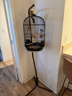 Bird Cage