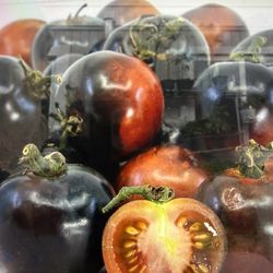 Indigo Cherry Tomato Plant