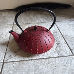 Japanese cast Iron Tea Pot