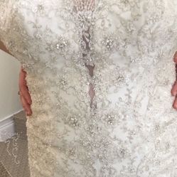 Wedding  Dress 