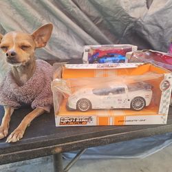 Collectible corvette