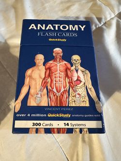 Anatomy Flash Cards