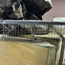3 Small Animal Traps