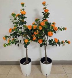 *** NEW LOW PRICE *** PAIR of 5ft Faux Orange Camellia Trees in 16in White/Black Resin Planters (2 for $90) @ Lasting Creations