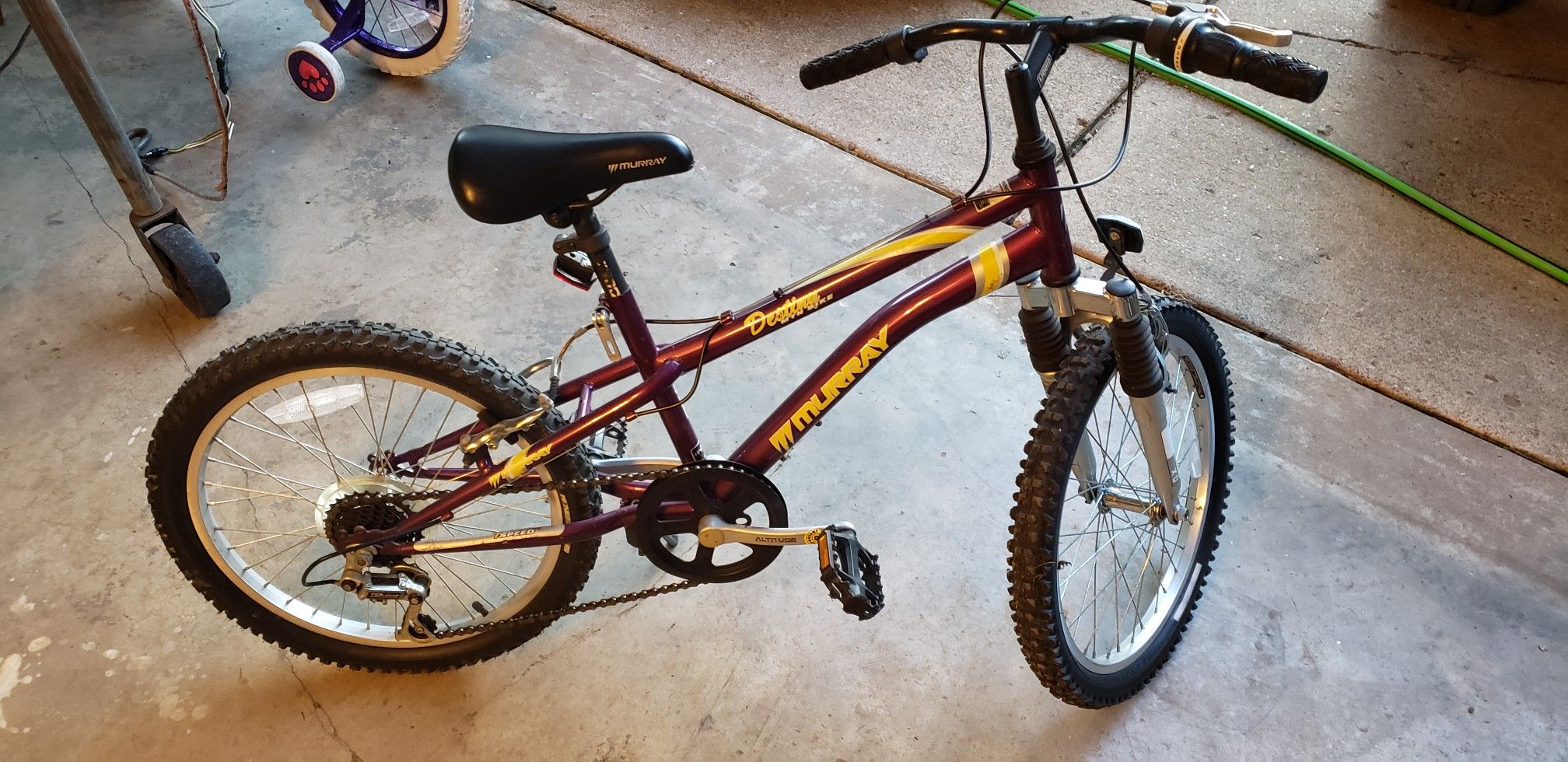 20" girls mountain bike