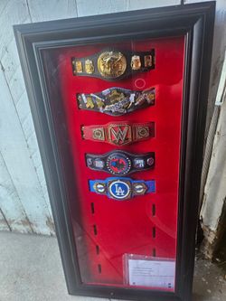 WWE mini belts with display case (rare case)