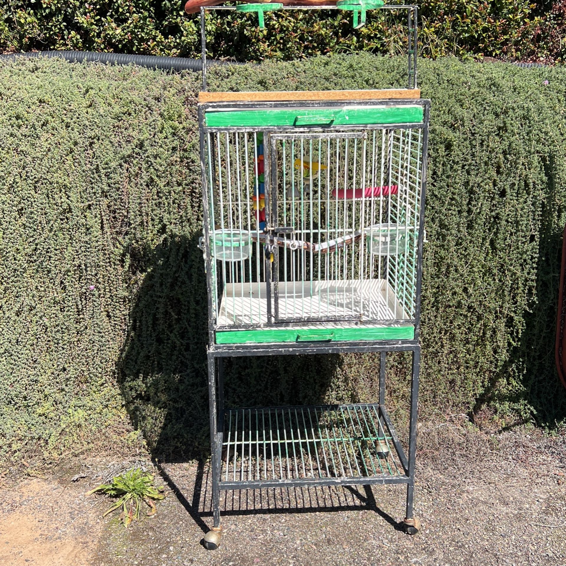 Bird Cage