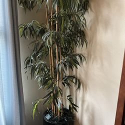 Fake Plant