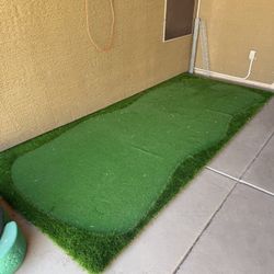 Putting Green Mat (12x5)