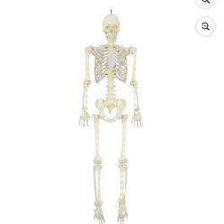 5ft Light Up Poseable Skeleton Decoration, Halloween Outdoor Decor, by Way To Celebrate