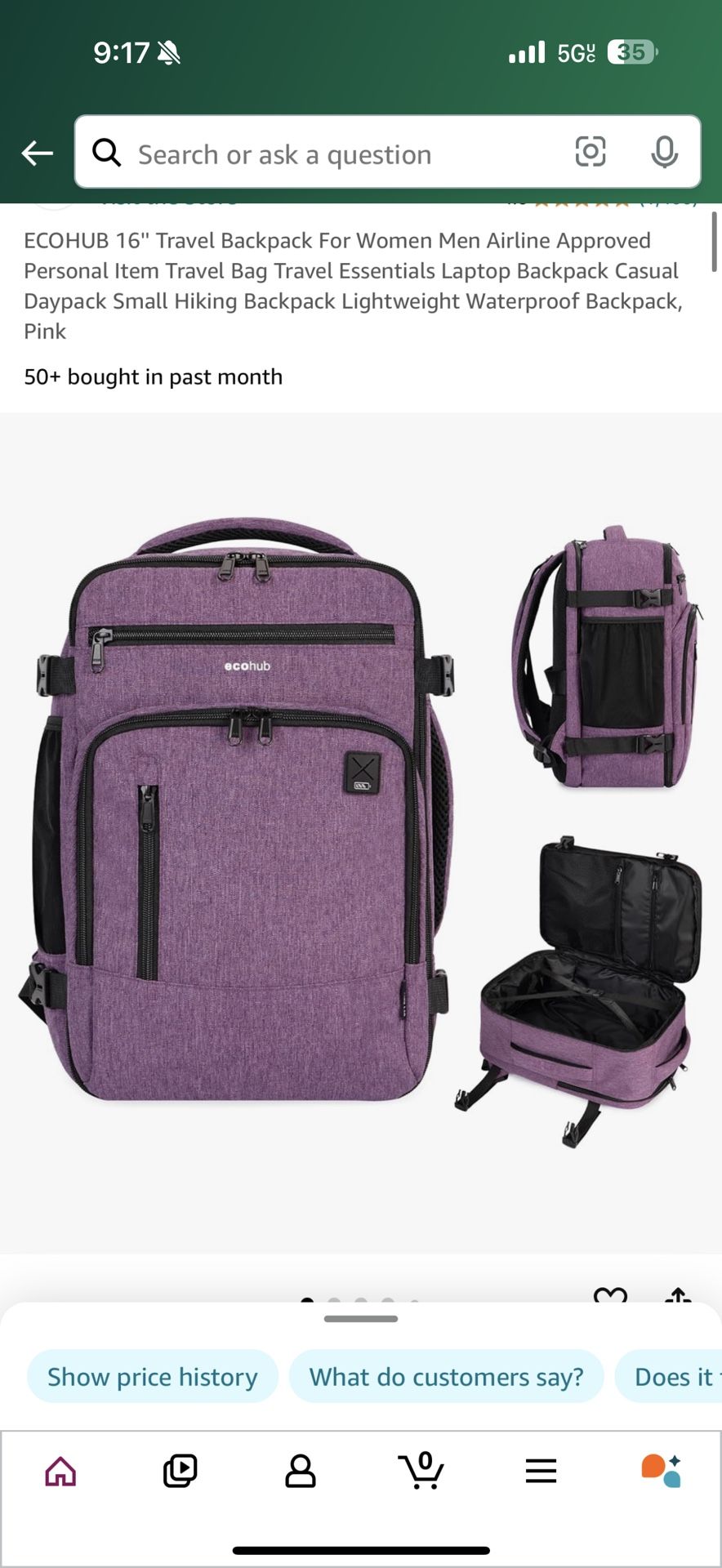 Ecohub Travel Backpack