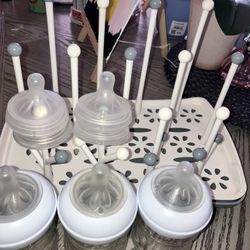 Glass Baby Bottles