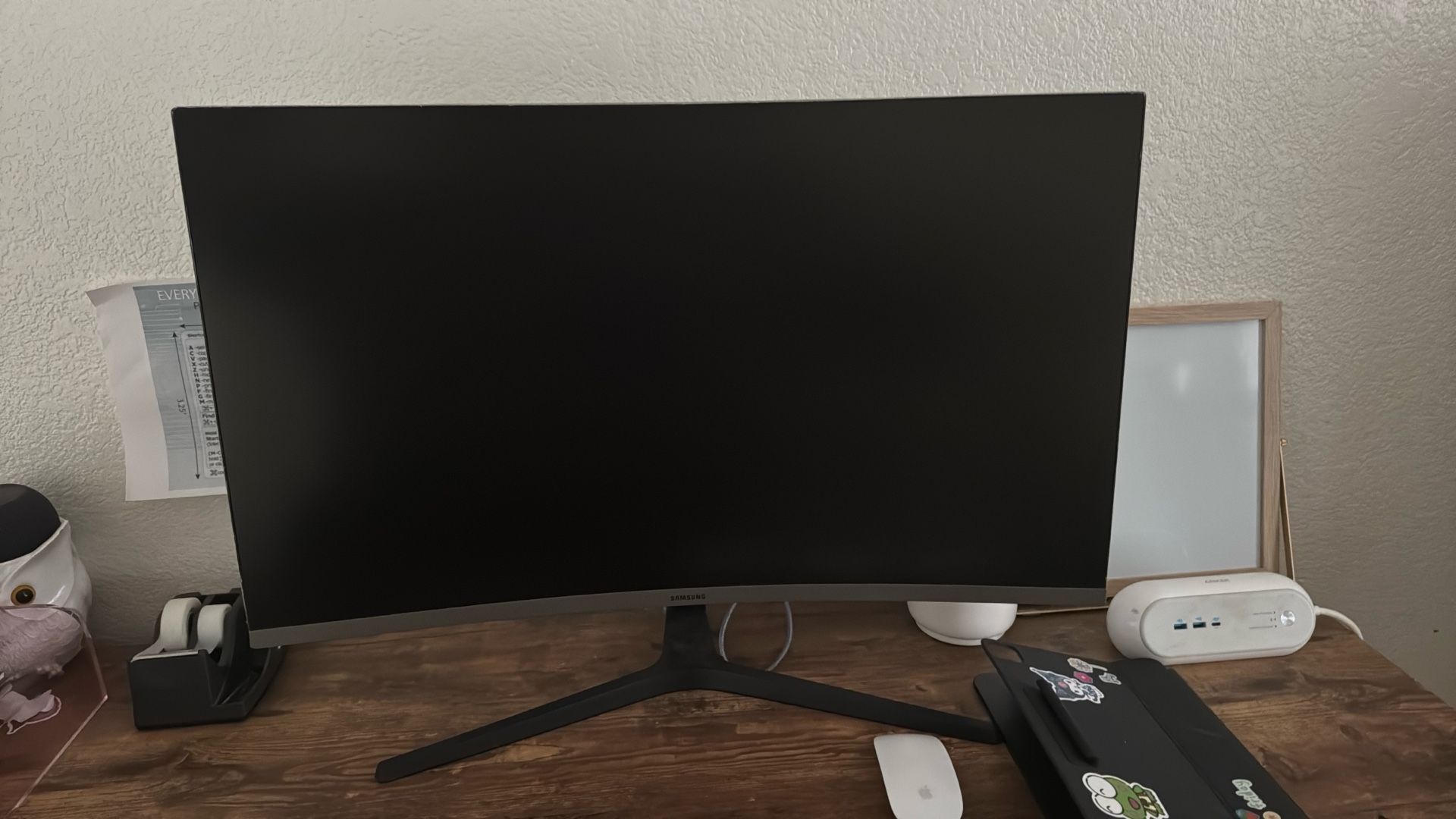SAMSUNG DISPLAY 100.00