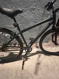 crew bike 29 inch