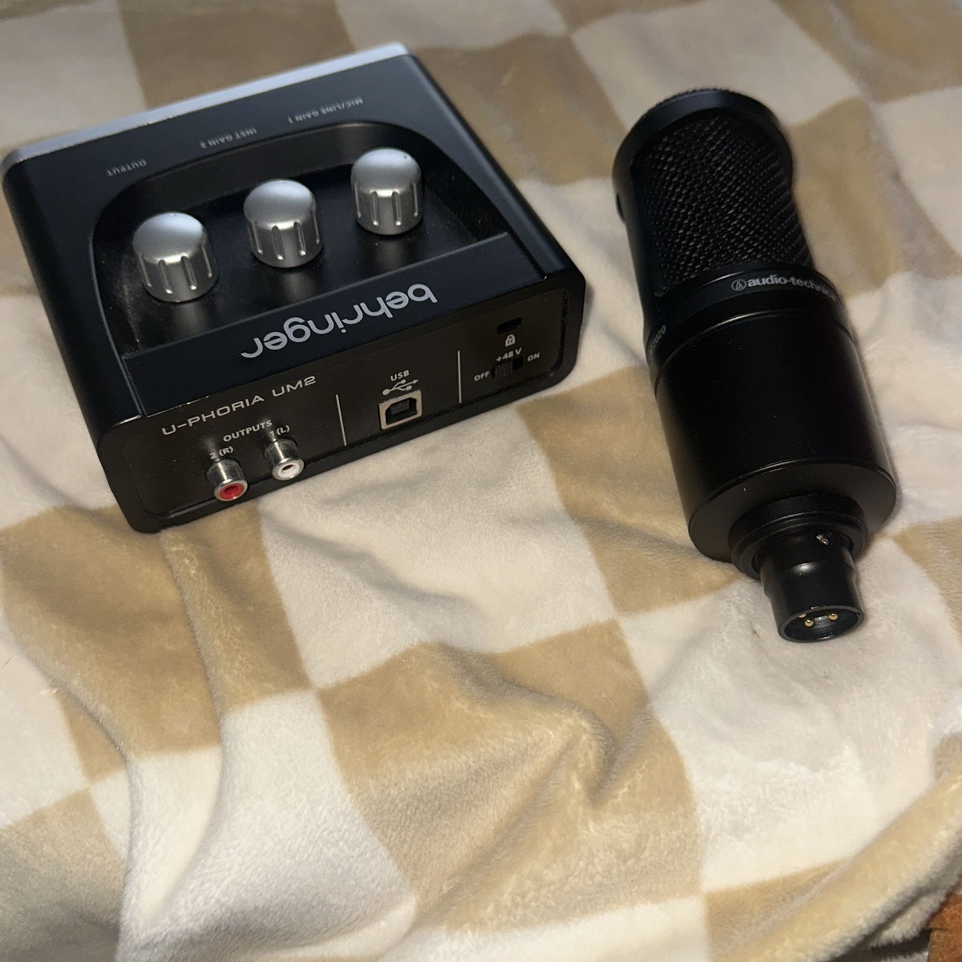 Microphone and audio interface