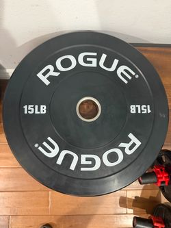 Rogue Echo Bumper Plates V2 – 15 LB Olympic Plates Pair