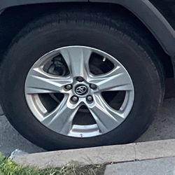 Toyota Stock Rim