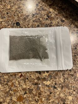 Creeping Heirloom Seeds