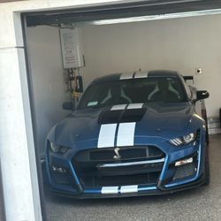 2021 Ford Mustang Shelby Gt500