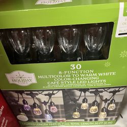 Holiday Time 30-Count 8-Function Multicolor to Warm White LED Edison-style Café Christmas Lights, with Black Wire, 20 feet