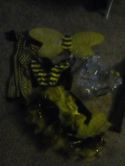 Bumble bee costume
