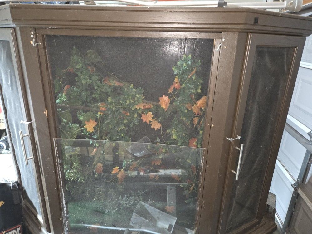 Custome Aboreal Enclosure 