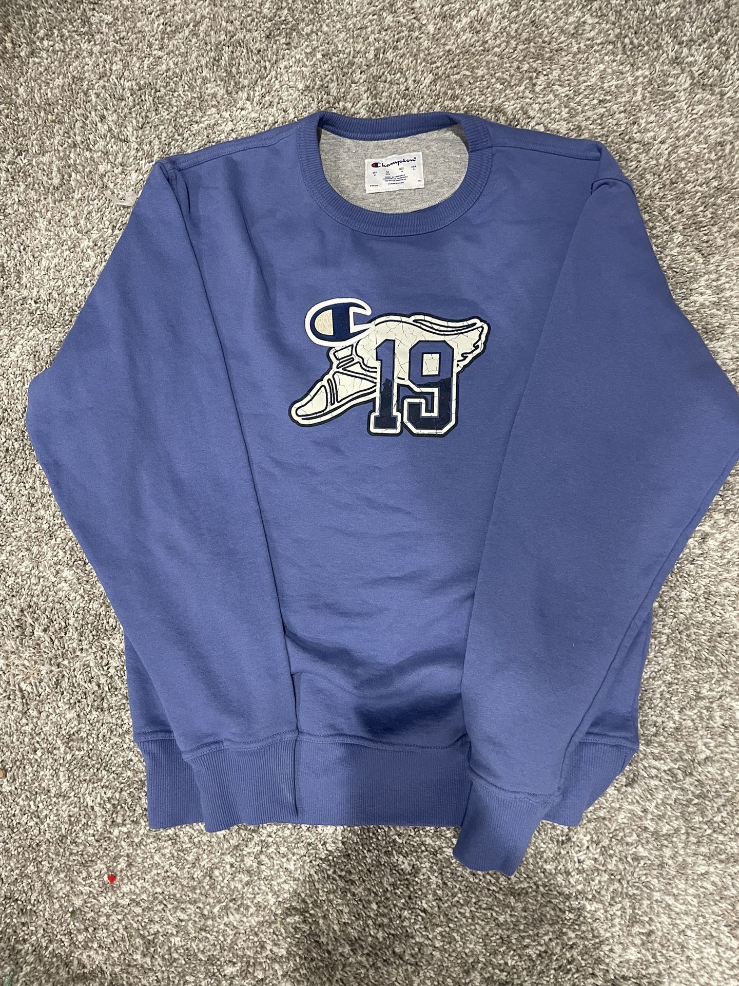 Champion Crewneck Sweatshirt – Bluish Purple (Men’s Large)