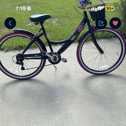 Ladies Bike 26 Inch Tires 