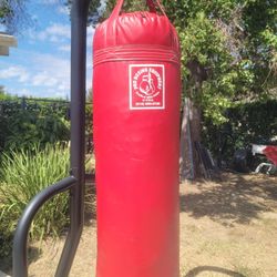 Punching/kicking  Heavy Bag Only