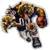 Mr & Mrs Bear Down