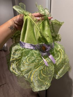 Tinkerbell Costume