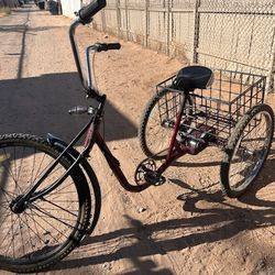 Good Looking Tricycle 