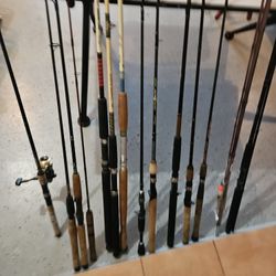 Fishing RODS 