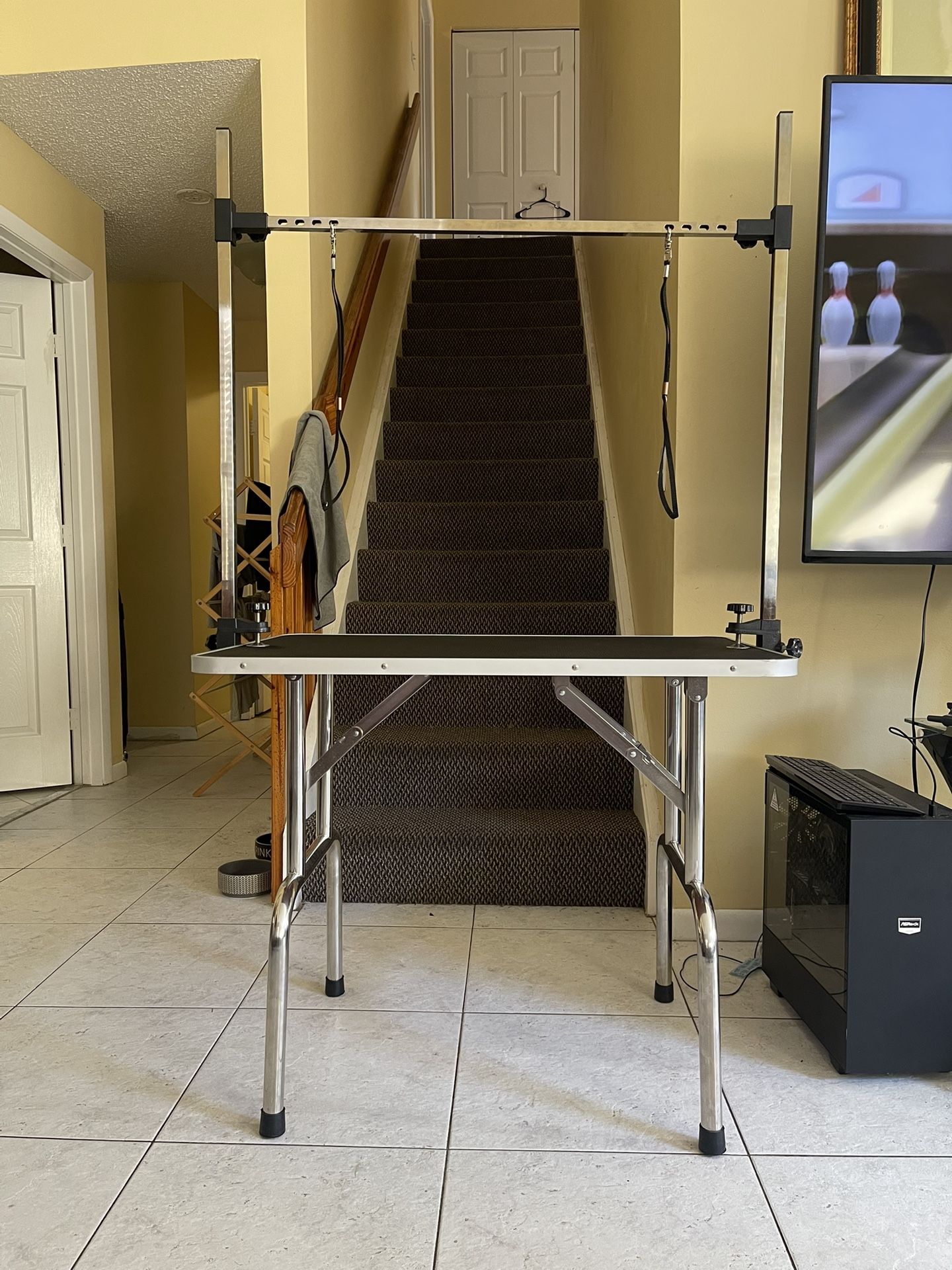 Dog Grooming Table